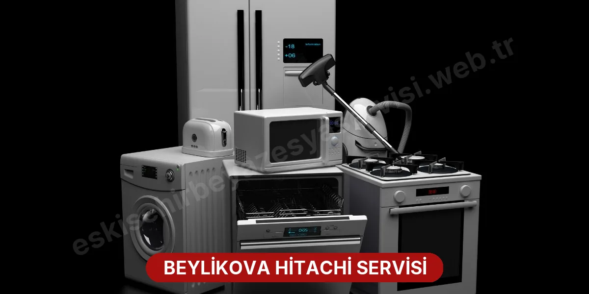 Beylikova Hitachi Servisi