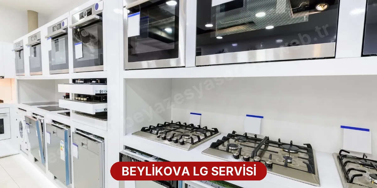 Beylikova LG Servisi