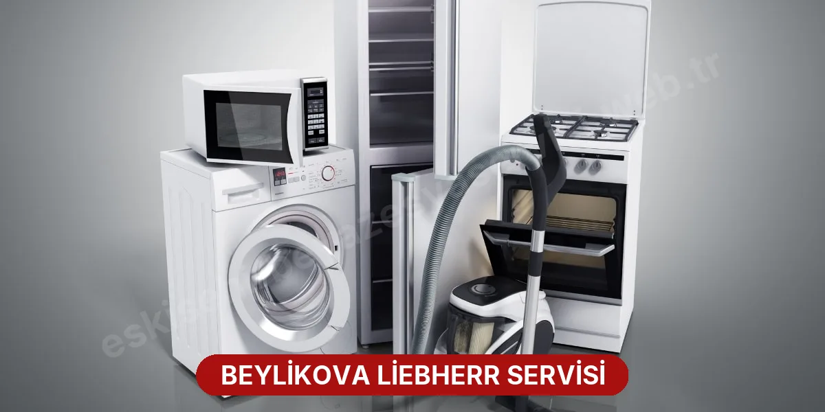 Beylikova Liebherr Servisi