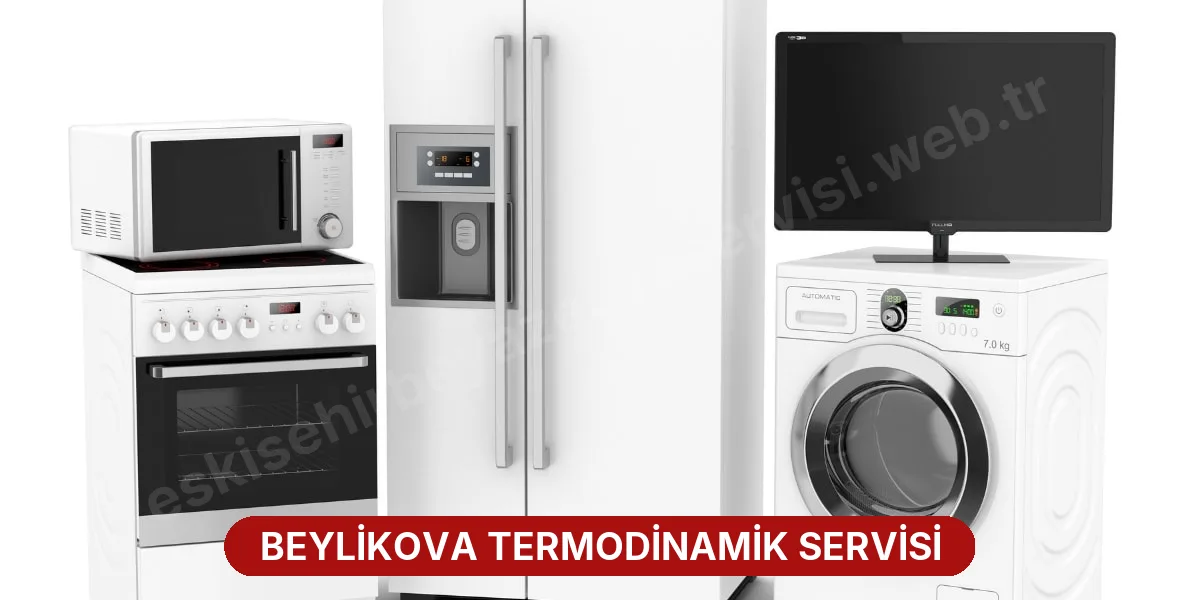 Beylikova Termodinamik Servisi