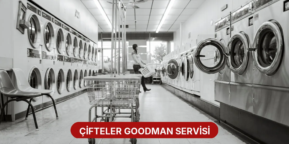 Çifteler Goodman Servisi