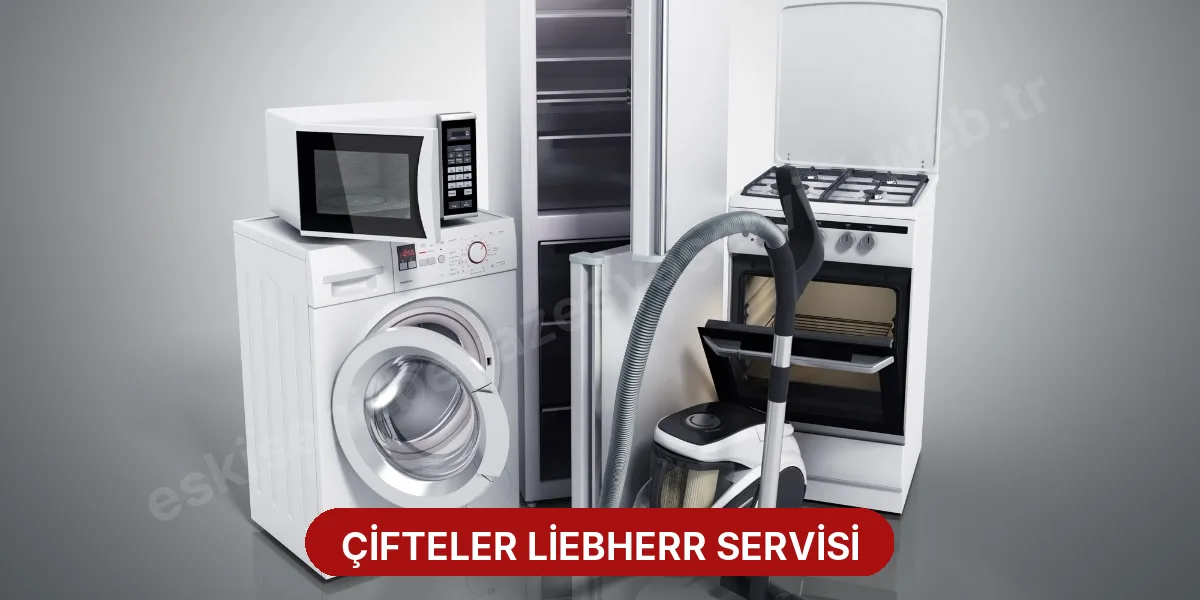 Çifteler Liebherr Servisi