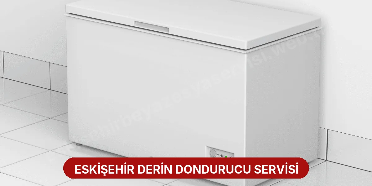Eskişehir Derin Dondurucu Servisi