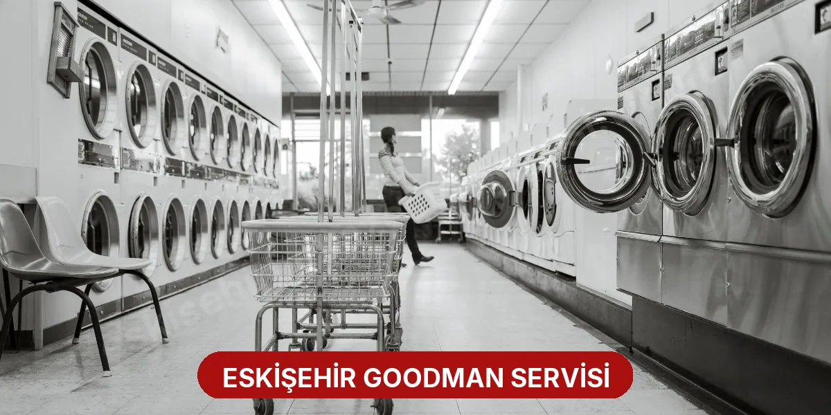 Eskişehir Goodman Servisi