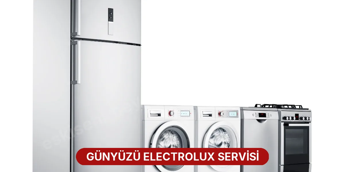 Günyüzü Electrolux Servisi