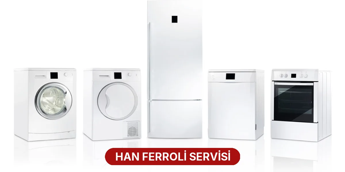 Han Ferroli Servisi