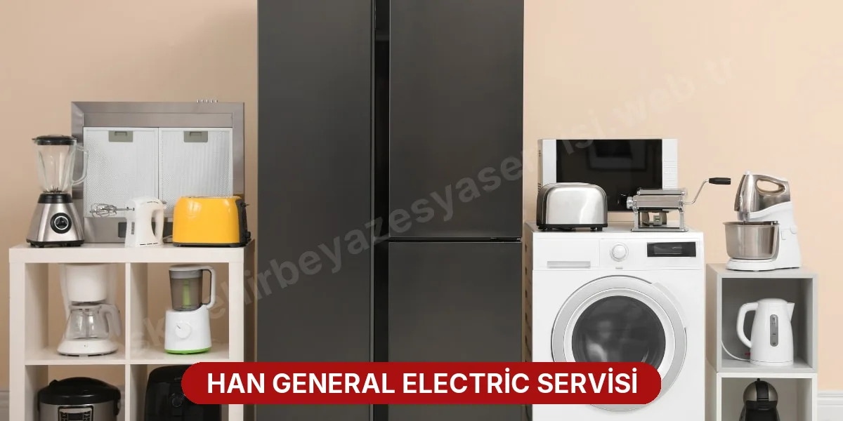 Han General Electric Servisi
