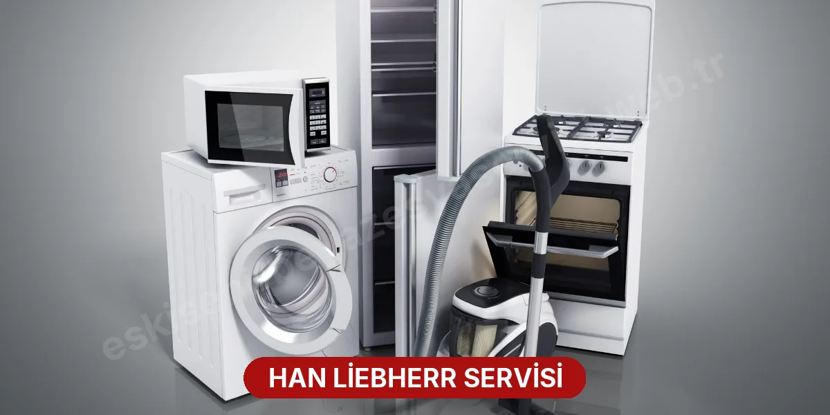 Han Liebherr Servisi