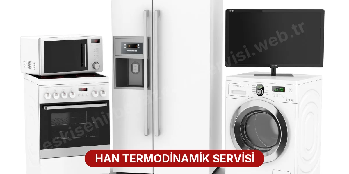 Han Termodinamik Servisi