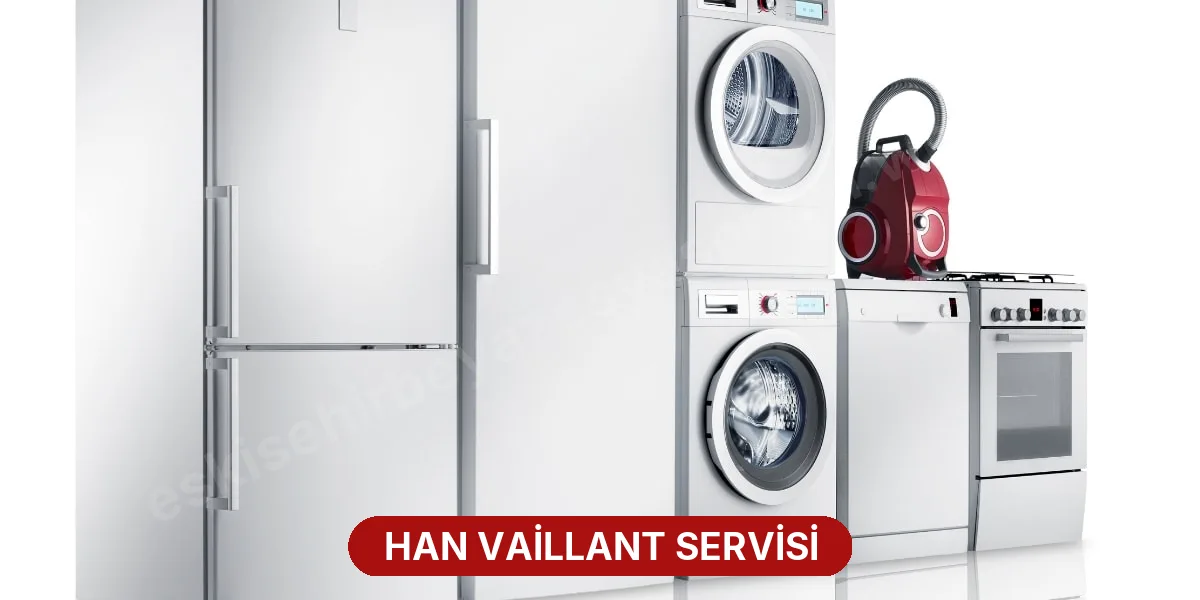 Han Vaillant Servisi