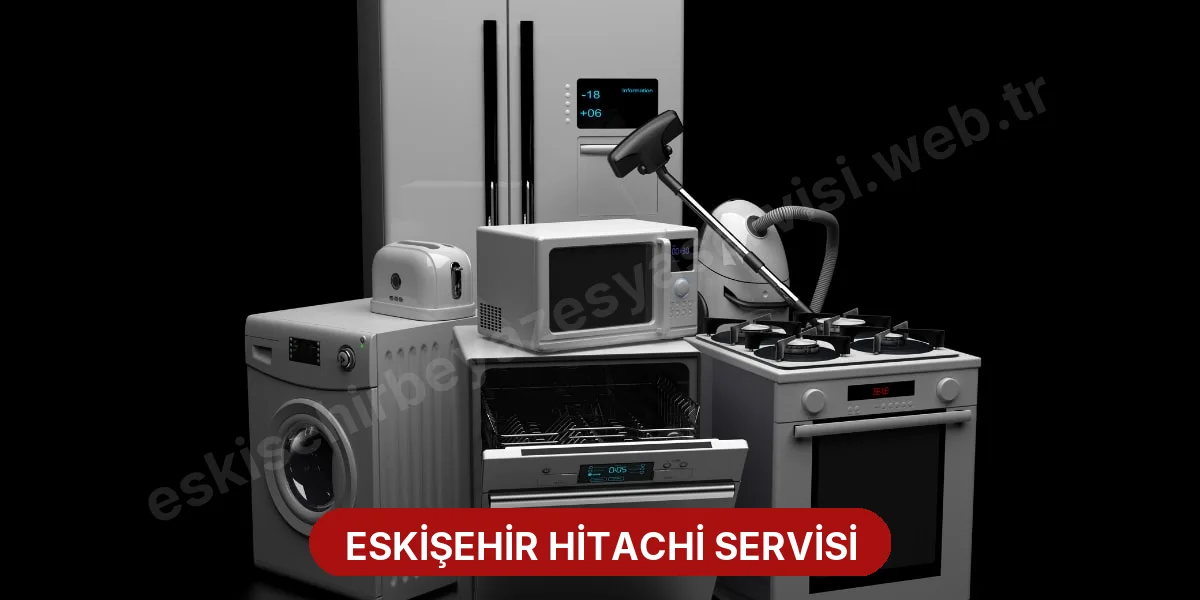 Eskişehir Hitachi Servisi