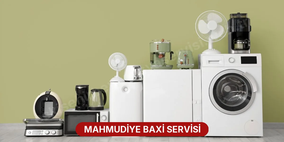 Mahmudiye Baxi Servisi