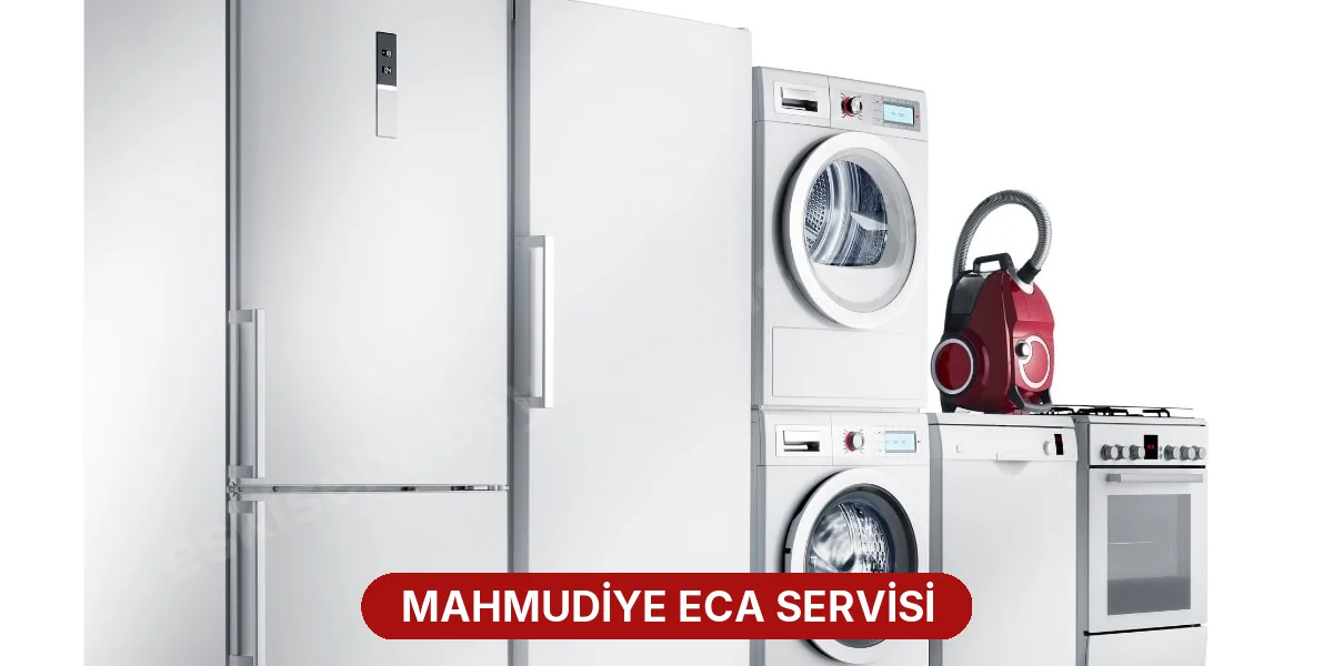 Mahmudiye ECA Servisi
