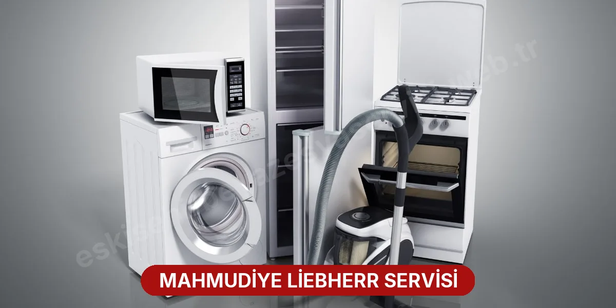 Mahmudiye Liebherr Servisi