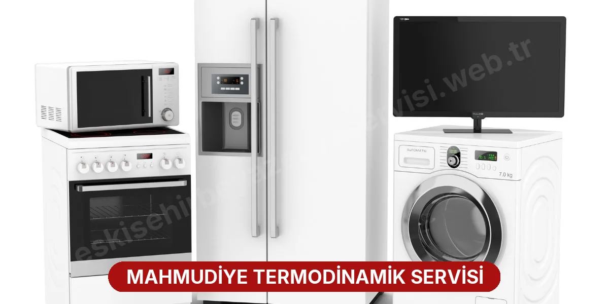 Mahmudiye Termodinamik Servisi