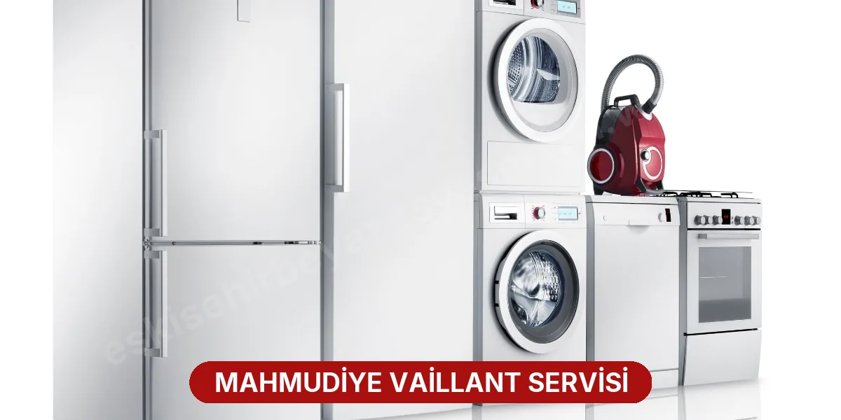 Mahmudiye Vaillant Servisi