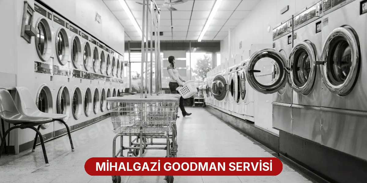 Mihalgazi Goodman Servisi