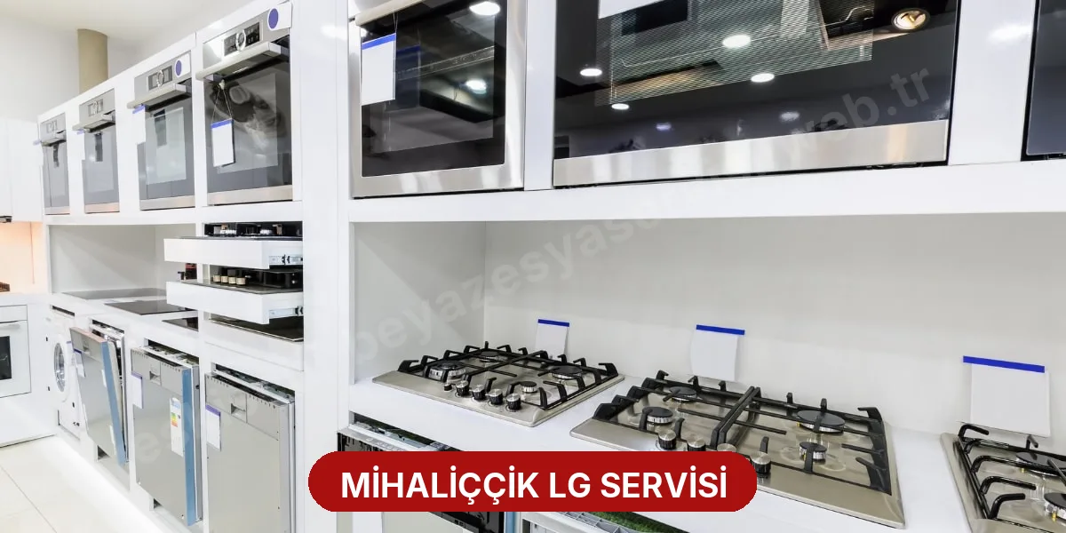 Mihaliççik LG Servisi