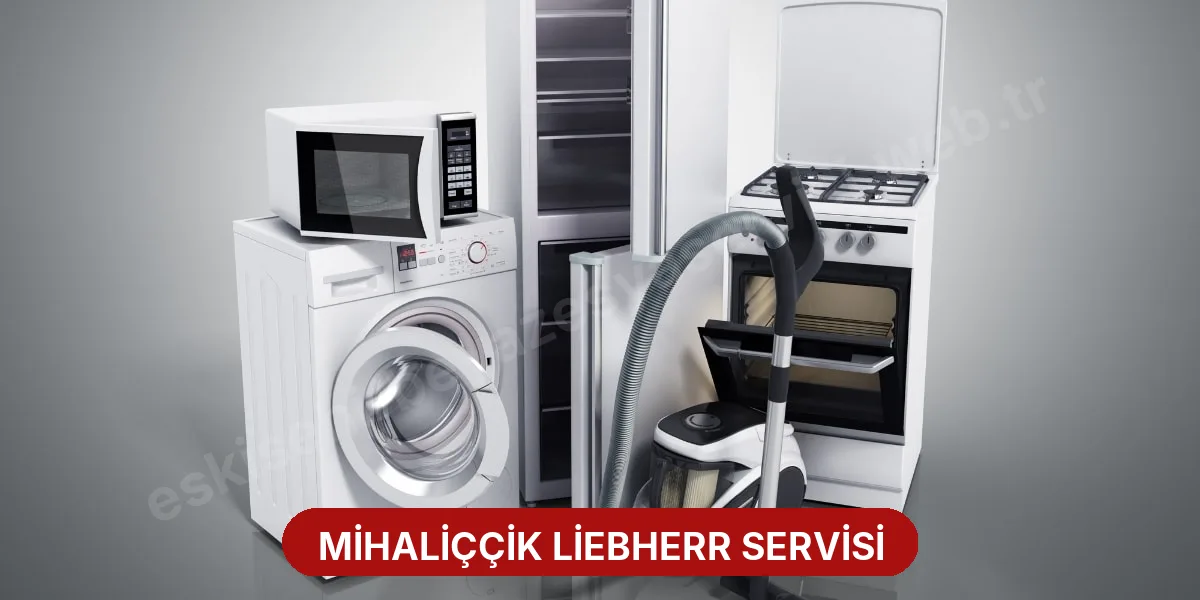 Mihaliççik Liebherr Servisi