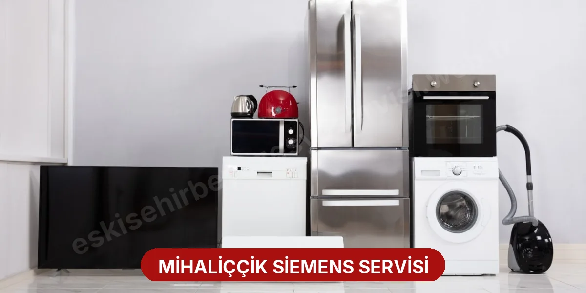 Mihaliççik Siemens Servisi