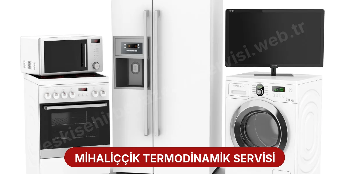 Mihaliççik Termodinamik Servisi