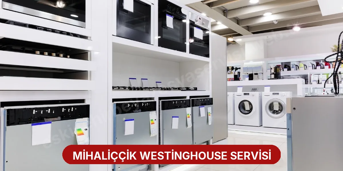 Mihaliççik Westinghouse Servisi