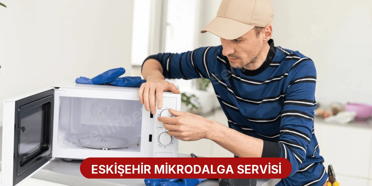 Eskişehir Mikrodalga Servisi