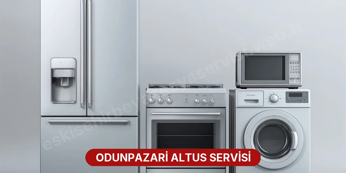 Odunpazari Altus Servisi