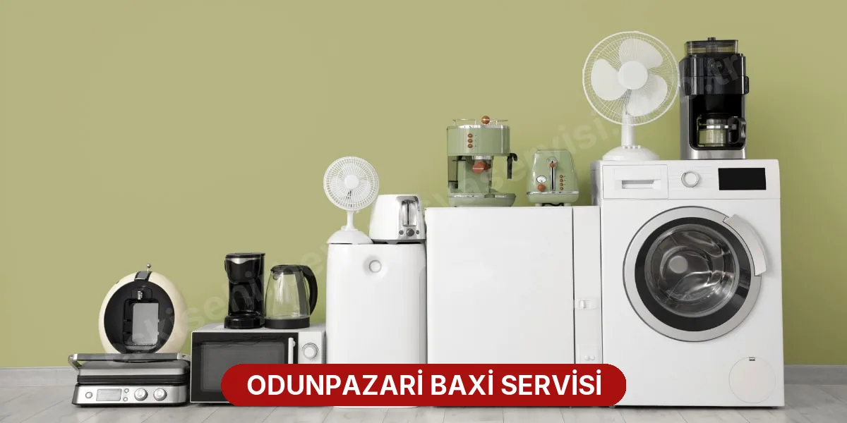 Odunpazari Baxi Servisi