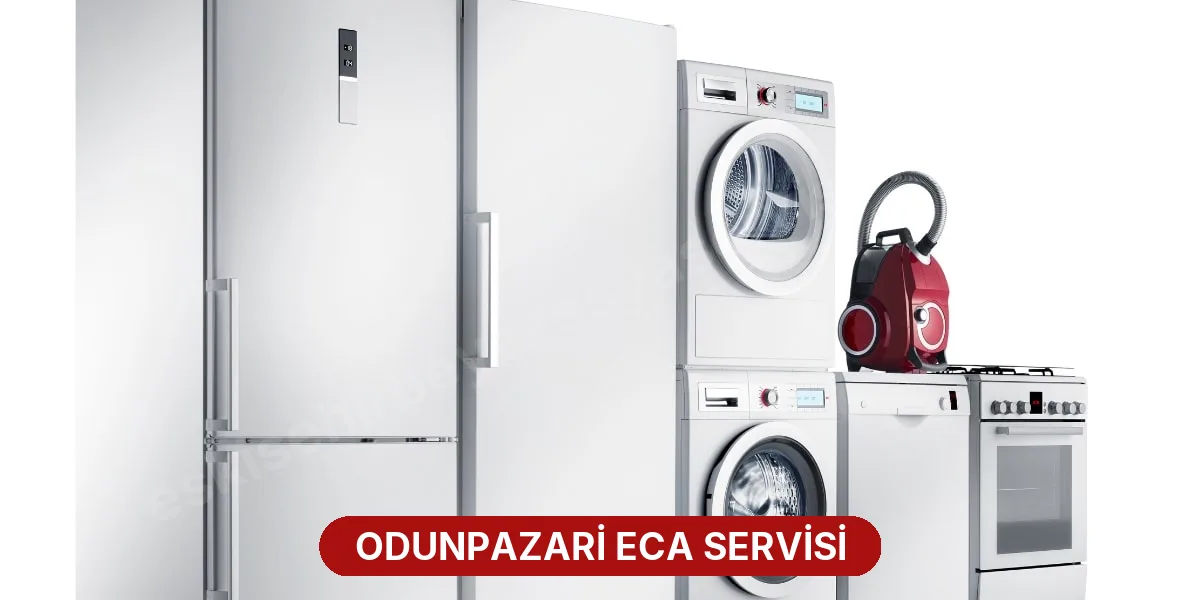 Odunpazari ECA Servisi