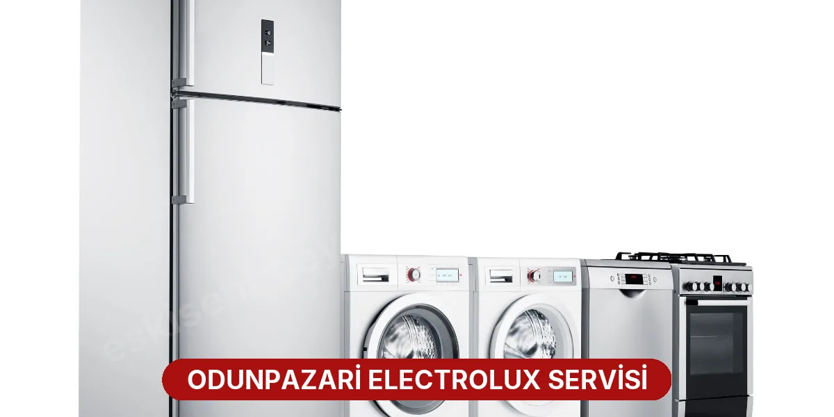 Odunpazari Electrolux Servisi