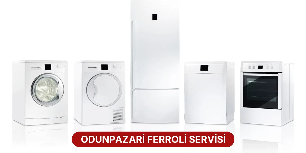 Odunpazari Ferroli Servisi