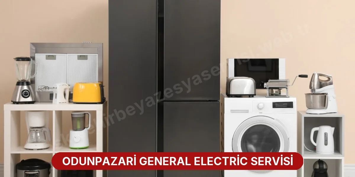 Odunpazari General Electric Servisi