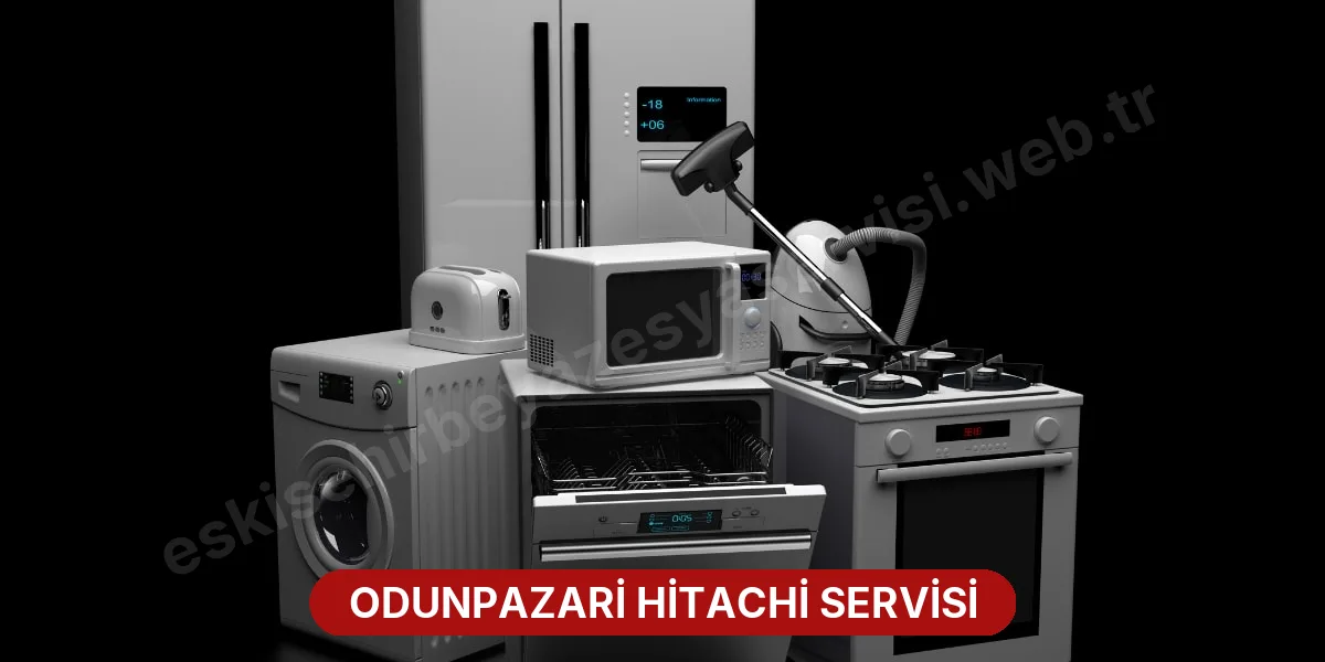 Odunpazari Hitachi Servisi