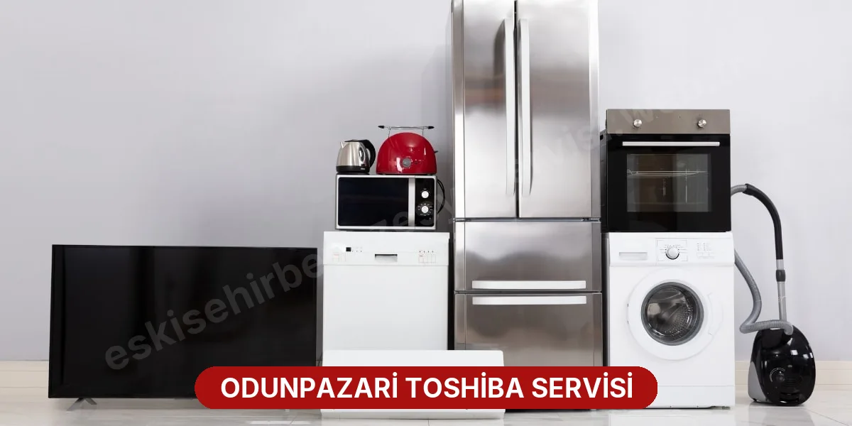 Odunpazari Toshiba Servisi