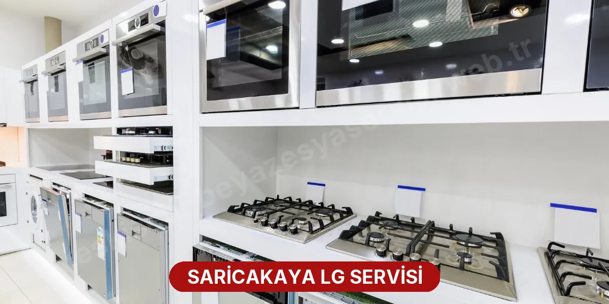 Saricakaya LG Servisi