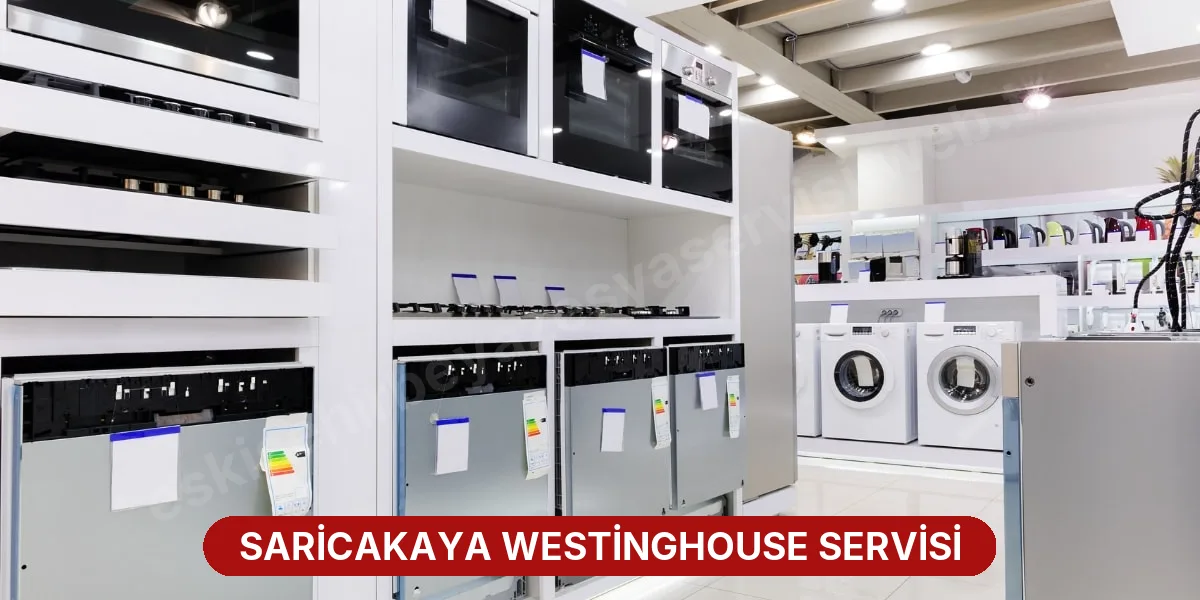 Saricakaya Westinghouse Servisi