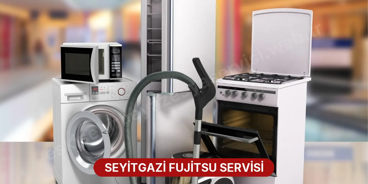 Seyitgazi Fujitsu Servisi