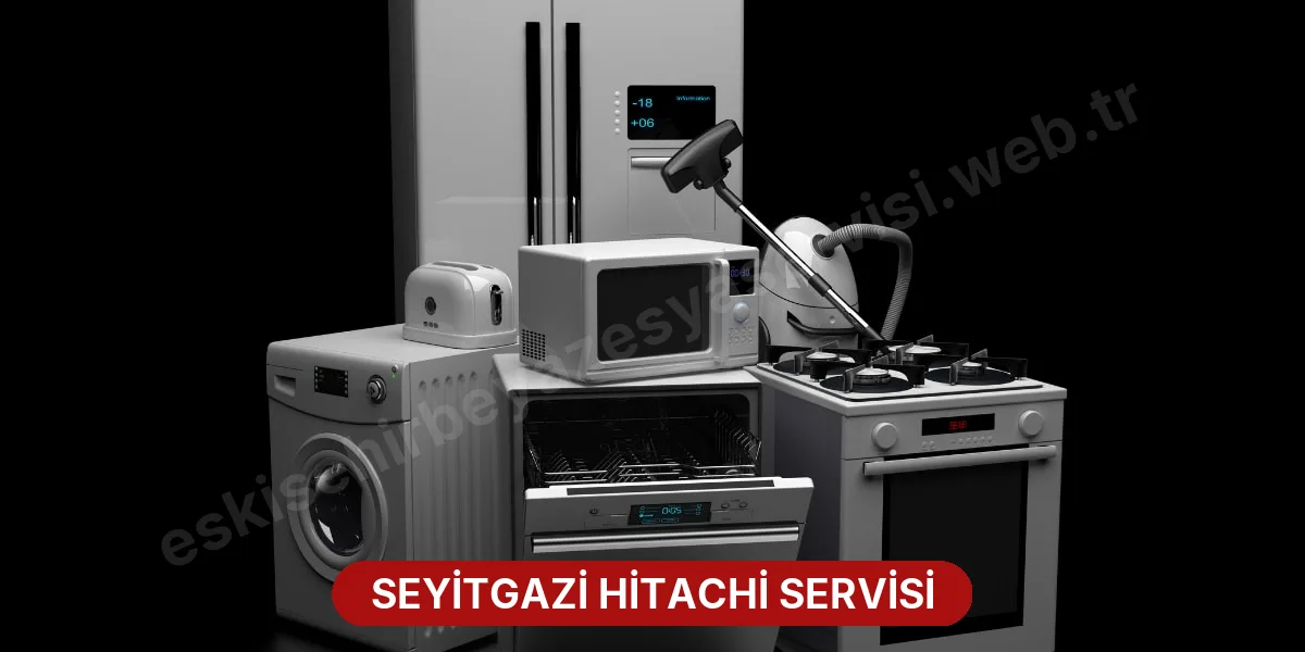 Seyitgazi Hitachi Servisi