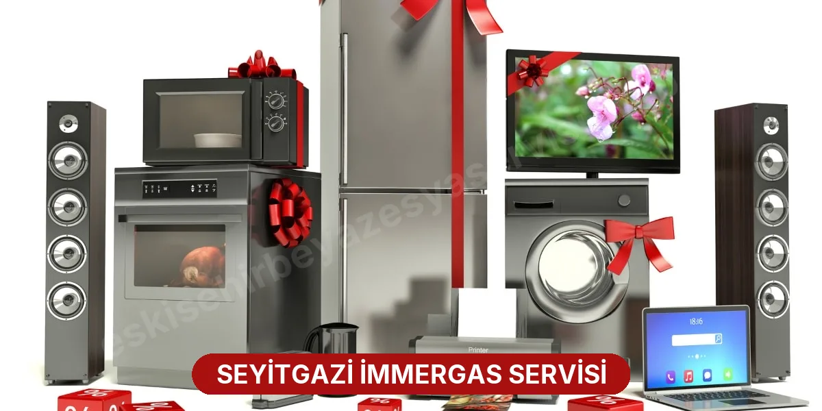 Seyitgazi İmmergas Servisi