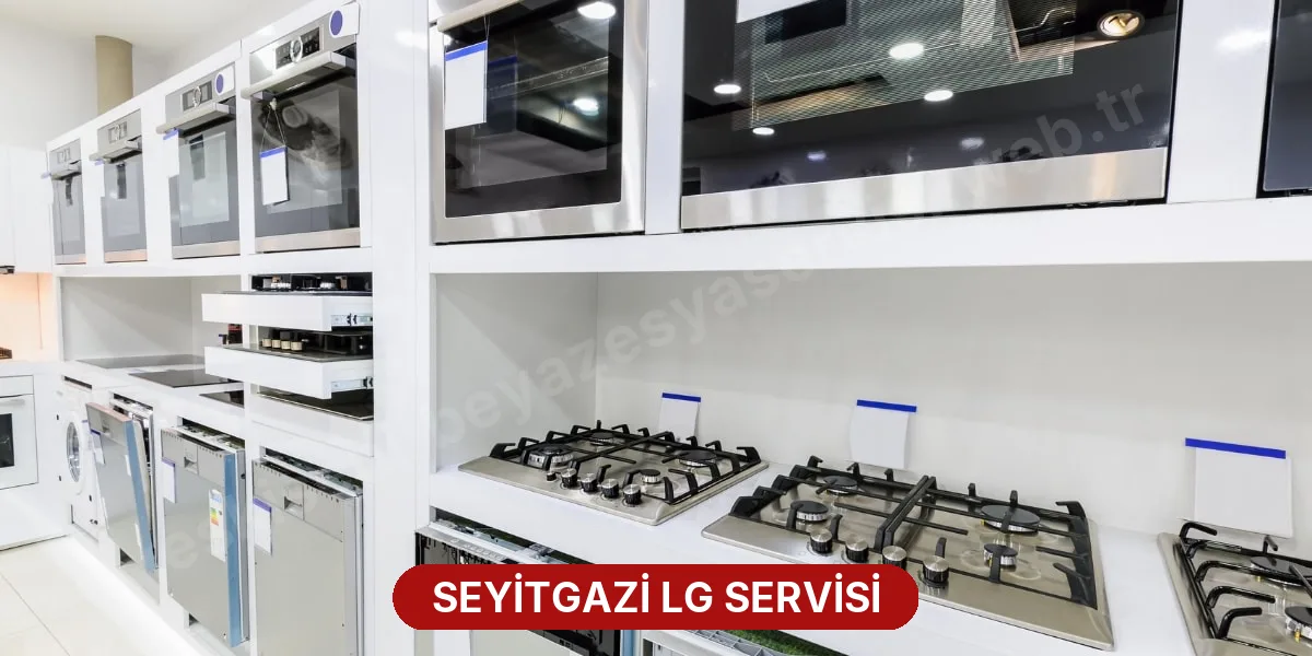 Seyitgazi LG Servisi