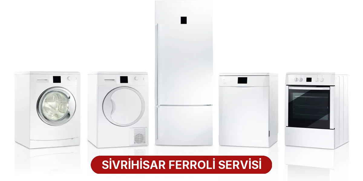 Sivrihisar Ferroli Servisi