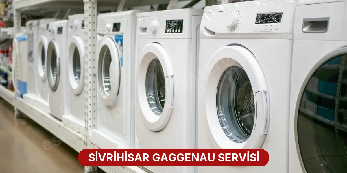 Sivrihisar Gaggenau Servisi