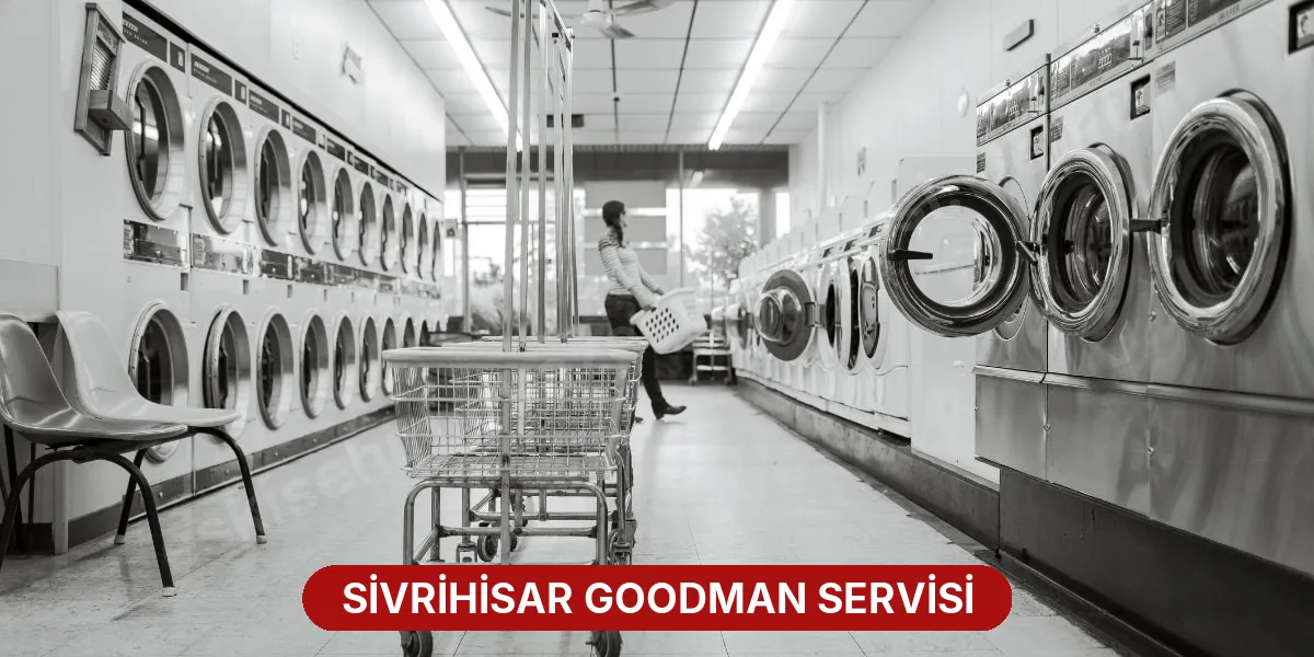 Sivrihisar Goodman Servisi
