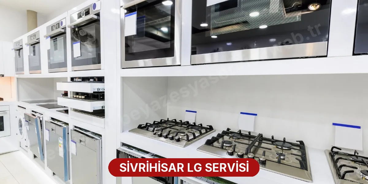Sivrihisar LG Servisi