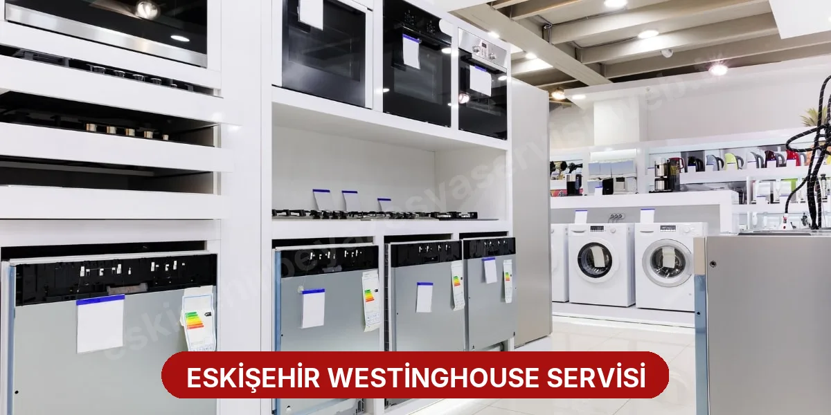 Eskişehir Westinghouse Servisi