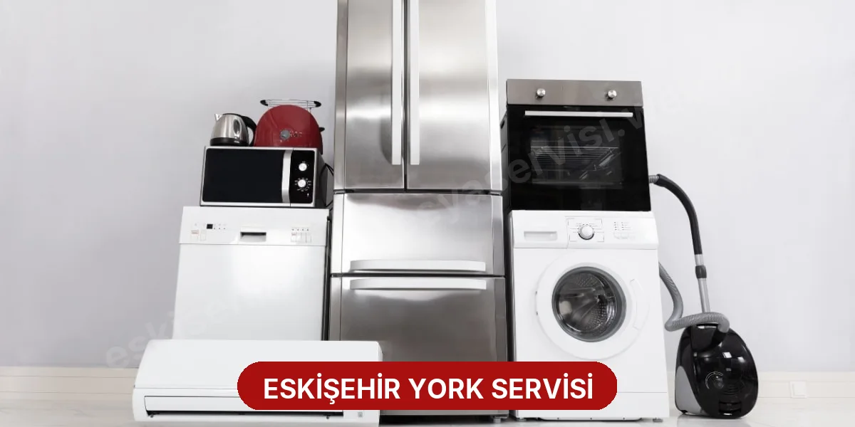 Eskişehir York Servisi